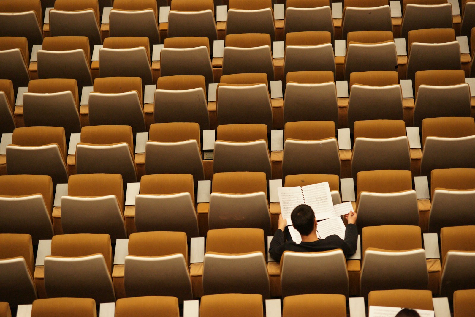 Seen from above, a person in a black sweater sits alone among rows of empty mustard-coloured seats in a lecture hall, reading sheet music