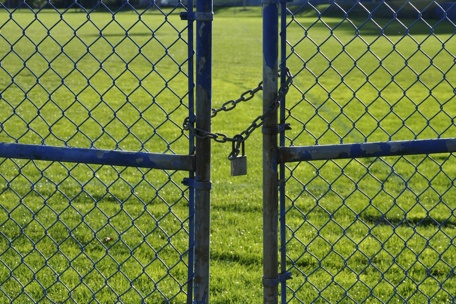 Two halves of a blue chain-link gate held shut by a chain and a small padlock, with a sunlit grass field behind the fence