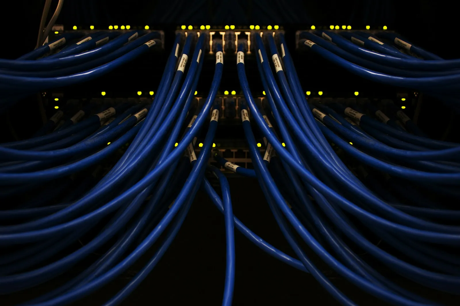 Dense structured cabling in a data centre, representing the infrastructure choice between sovereign cloud regions and on-premises AI platforms for regulated enterprises